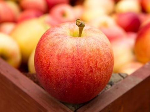 Apple rings and fresh apples