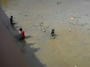 Ratusan Ikan Mati di Sungai Cisadane Jadi Rebutan Warga