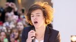 From 16 to 23, Perjalanan Harry Styles