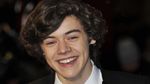 From 16 to 23, Perjalanan Harry Styles