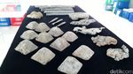 Ini Dia Harta Karun Laut RI