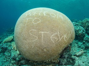 Komentar Netizen Soal Karang Dicorat-coret di Raja Ampat