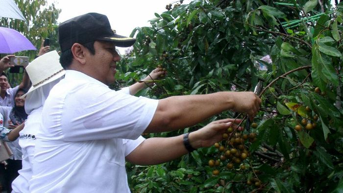 Foto: Dok. Pemkot Semarang Foto: Dok. Pemkot Semarang
