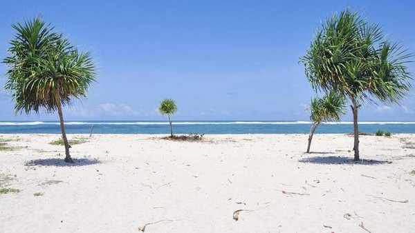 Pantai Serenting ada di timur Pantai Seger dan masih masuk area Festival Bau Nyale. Nah, Pantai Serenting akan menjadi tempat wisata yang paling dekat dengan Sirkuit Mandalika (twainona/Instagram) Pantai Serenting ada di timur Pantai Seger dan masih masuk area Festival Bau Nyale. Nah, Pantai Serenting akan menjadi tempat wisata yang paling dekat dengan Sirkuit Mandalika (twainona/Instagram)