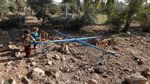 Miris, Begini Kondisi Kebun Binatang di Mosul