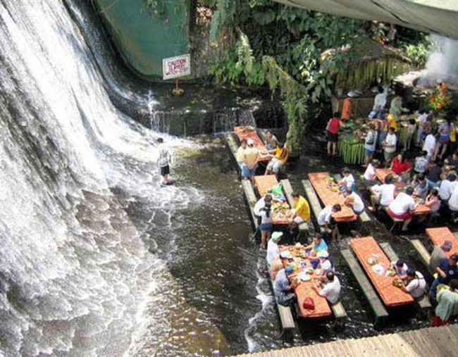 Restoran Bawah Laut dan Air Terjun, Restoran Unik di Dunia (2)