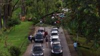 Dampak Pohon Tumbang di UI, Lalin Margonda Depok Macet Total
