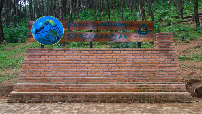 Penat di Kota? Yuk Kemping ke Hutan Pinus di Purwakarta