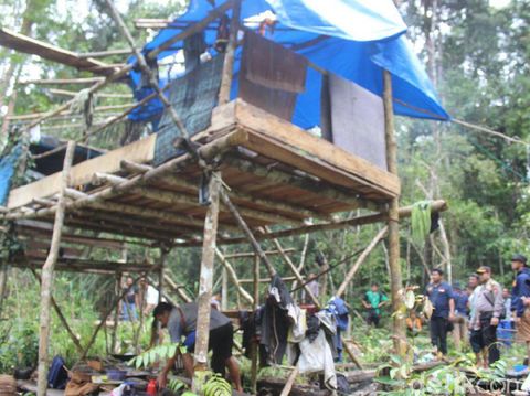 Suaka Margasatwa di Riau Dijarah Pembalak, Kayu-kayu ini Buktinya