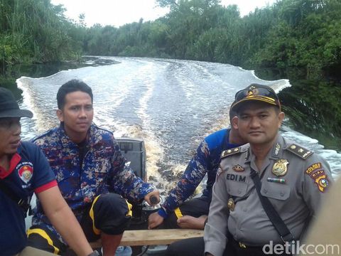 Suaka Margasatwa di Riau Dijarah Pembalak, Kayu-kayu ini Buktinya