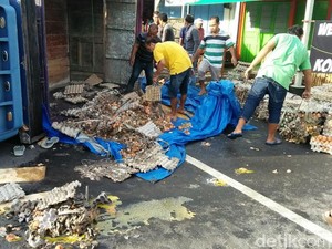 Truk Terguling, Muatan 3 Ton Telur Tumpah ke Jalan