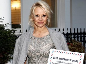 Pamela Anderson Sering Pakai G-String di Kepala, Ada Manfaat Kecantikan