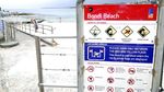 Pasir Putih & Bule Berbikini, Inilah Pantai Bondi di Sydney