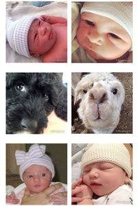 Foto: Cara Unik Selebriti Umumkan Kehamilan 