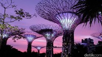 Gardens by The Bay jadi salah satu tempat ikonik film Crazy Rich Asians. Ternyata, juga bisa disewa untuk acara pribadi lho (Andhika/detikTravel)
