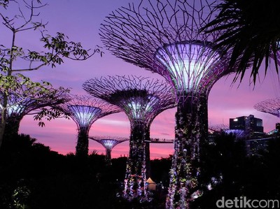 Megahnya Gardens by the Bay, Tempat Syuting Crazy Rich Asians Megahnya Gardens by the Bay, Tempat Syuting Crazy Rich Asians