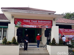 Jual Daging dan Cabai Murah, Ini Lokasi 22 Toko Tani Kementan