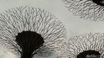 Penampakan Pohon Futuristik di Singapura