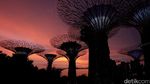 Penampakan Pohon Futuristik di Singapura