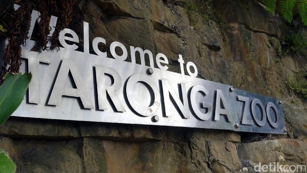 Selamat datang di Kebun Binatang Taronga, Sydney (Wahyu/detikTravel)