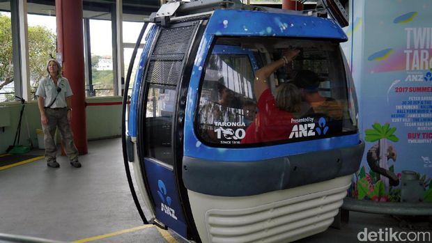 Naik gondola di Taronga Zoo (Wahyu/detikTravel)