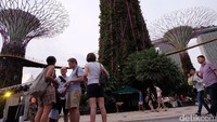 Foto: Tidak hanya futuristik, Supertree memiliki fungsi untuk menampung air hujan dan menyalurkannya ke Gardens by the Bay hingga menyerap sinar matahari. Keren! (Andhika Prasetia/detikTravel)