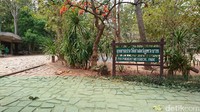 Phu Phrabat Historical Park di Pegunungan Phupankum, Baanphue, Udon Thani, Thailand memang sayang dilewatkan. Banyak peninggalan sejarah dengan kisah menarik di baliknya (Masaul/detikTravel)