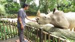 Bertemu Beruang Kutub di Singapore Zoo