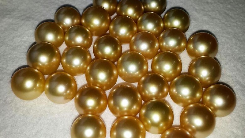 Ini Penampakan Mutiara RI Terbaik di Dunia