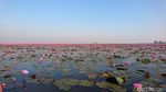 Aneh, Danau di Thailand Ini Warnanya Pink