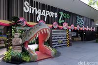 Berjumpa Aneka Satwa dari Berbagai Belahan Dunia di Singapore Zoo