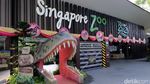 Bertemu Beruang Kutub di Singapore Zoo