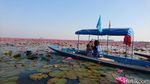 Aneh, Danau di Thailand Ini Warnanya Pink