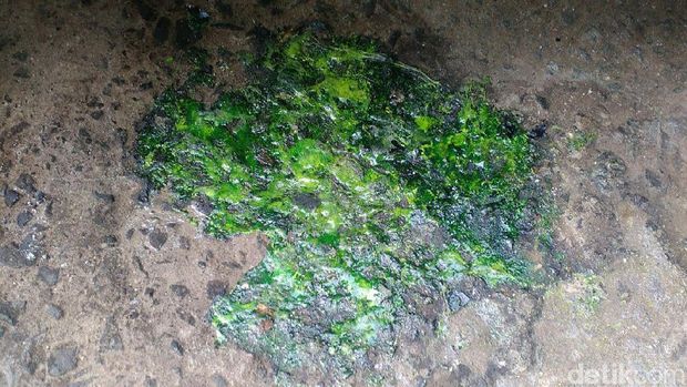 Polisi Selidiki Pelemparan Molotov di Markas FPI Depok