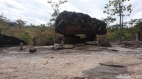 Ada batu-batu besar yang terlihat seperti payung. Tempat ini adalah bekas pemukiman di zaman dahulu (Masaul/detikTravel)
