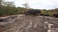 Phu Phra Bat Historical Park ditumbuhi oleh pepohonan Pterocarpus, Shorea, Dalbergia, Ormosia dan lain-lain. Tapi yang paling menarik di sini adalah bekas-bekas manusia prasejarah (Masaul/detikTravel)