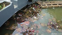 Sayang sekali, masih ada beberapa orang yang kurang sadar akan kebersihan. Sampah-sampah plastik bekas minuman mengapung begitu saja di pinggir kolam (Bonauli/detikTravel)