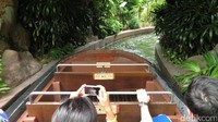 Foto: Traveler bisa menyusuri sungai sambil naik perahu. Kanan kirinya ditumbuhi pepohonan yang rimbun (Andhika Prasetia/detikTravel)