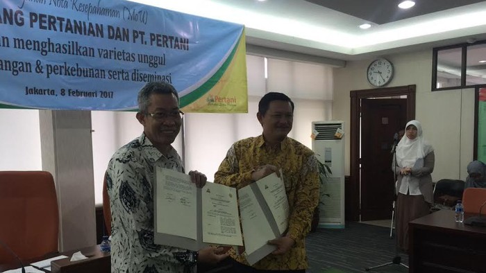 Kementan Gandeng Pertani Bikin Benih Tebu Unggulan