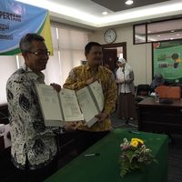 Kementan Gandeng Pertani Bikin Benih Tebu Unggulan