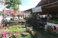 Ikan Panggang dari Udon Thani yang Menggoyang Lidah