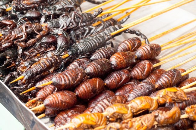 Festival Serangga dan Perang Tomat, Festival Makanan Unik di Dunia (1)