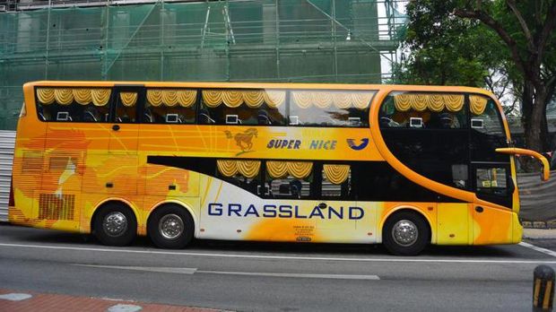 bus