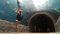 Foto: River Safari ini buka setiap hari pukul 10.00-19.00 waktu setempat. Harga tiket masuknya SGD 30 (Rp 282 ribu) buat dewasa dan SGD 20 (Rp 188 ribu) untuk anak-anak usia 3-12 tahun (Andhika Prasetia/detikTravel)