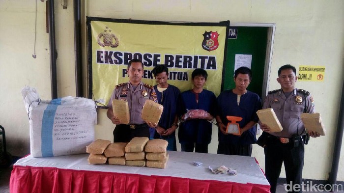 Polisi Temukan 14 Kg Ganja di Gudang Pengiriman Barang di Medan