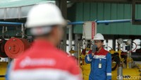 Saat ini produksi gas Pertamina EP untuk 2008 rata-rata mencapai 1.005 mmscfd atau 95 persen dari total produksi gas Pertamina. yang seluruhnya digunakan untuk memasok kebutuhan energi di dalam negeri.