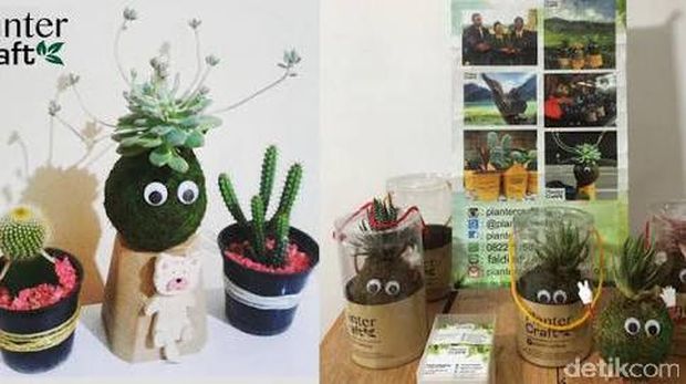 Faldi Adisajana-Bisnis Boneka Lumut