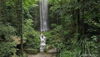 Suasana di Jurong Bird Park juga dibuat semirip mungkin dengan di habitat aslinya. Tujuannya untuk membuat burung merasa nyaman dan betah (Andhika/detikTravel)