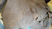 Baju pemakamanan leluhur Toraja ternyata terbuat dari kain kayu. Ini merupakan baju yang terbaut dari kulit kayu. Traveler yang mau pegang boleh saja asalkan hati-hati karena baju ini sudah sangat berumur (Bonauli/detikTravel)