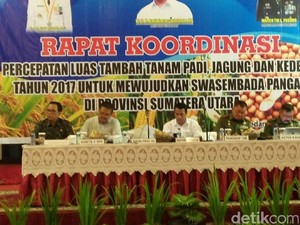 Mentan: dari 14 Komoditas Pangan, Cuma Kedelai Turun Produksinya